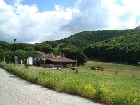 Βίτσι-Αγ. Αντώνιος-Βίγλα με παιδιά 083