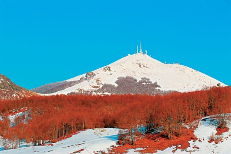 assets_LARGE_t_183762_54023110